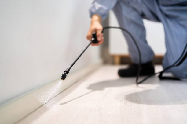 Licensed Fumigation Services service in Hancock County County, KY - Nex Pest Control